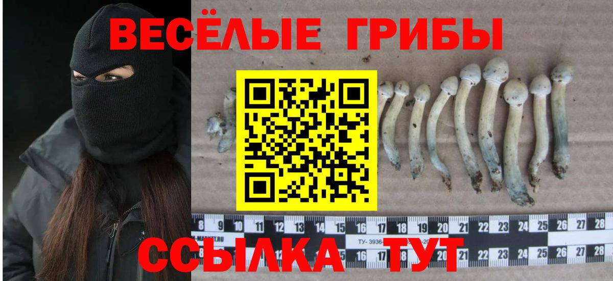 Лсд 25 Лениногорск
