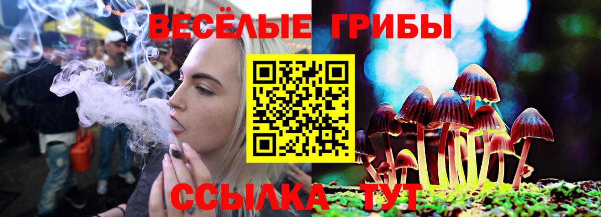 Галлюциногенные грибы GOLDEN TEACHER  Вход с VPN  Лениногорск 